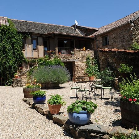 Chambres D'Hotes Le Puits D'Amour Mirandol-Bourgnounac Exteriér fotografie