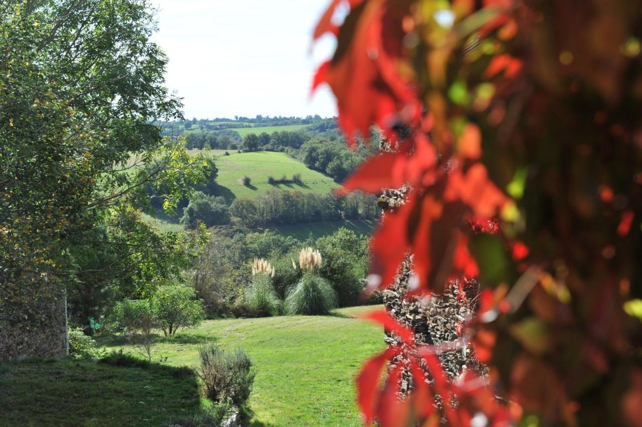 Chambres D'Hotes Le Puits D'Amour Mirandol-Bourgnounac Exteriér fotografie