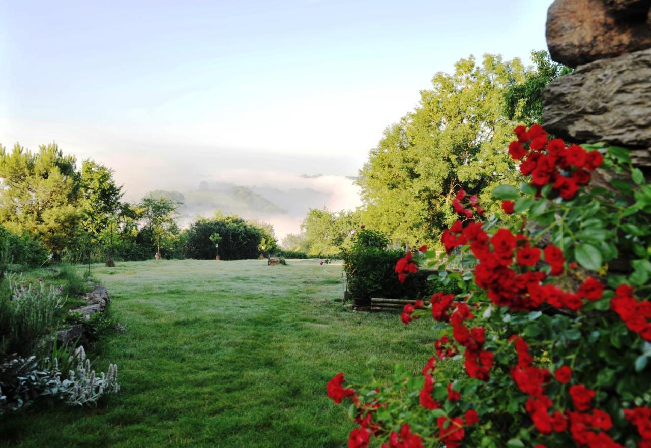 Chambres D'Hotes Le Puits D'Amour Mirandol-Bourgnounac Exteriér fotografie